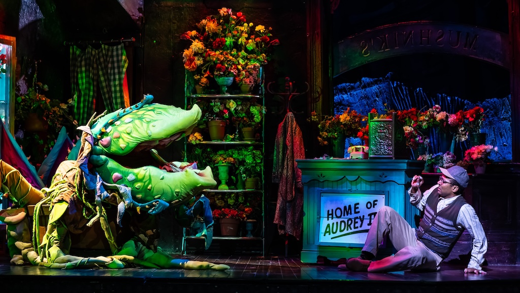 LITTLE SHOP OF HORRORS-10-JNiedel