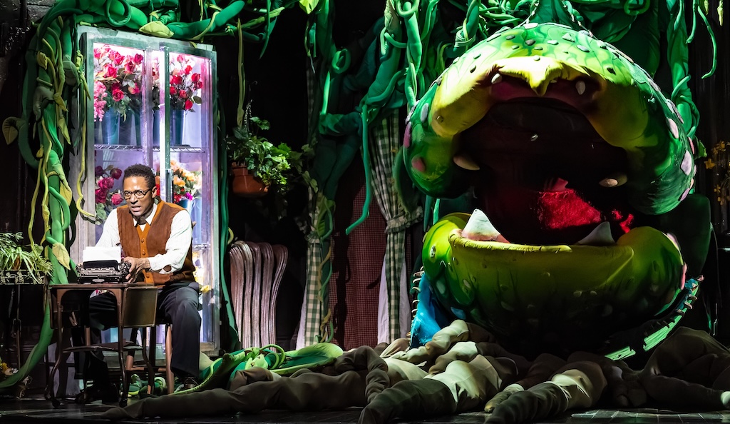 LITTLE SHOP OF HORRORS-15-JNiedel