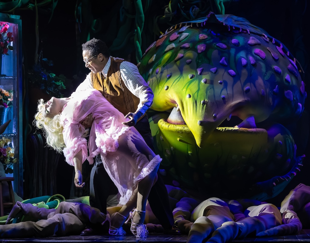 LITTLE SHOP OF HORRORS-16-JNiedel