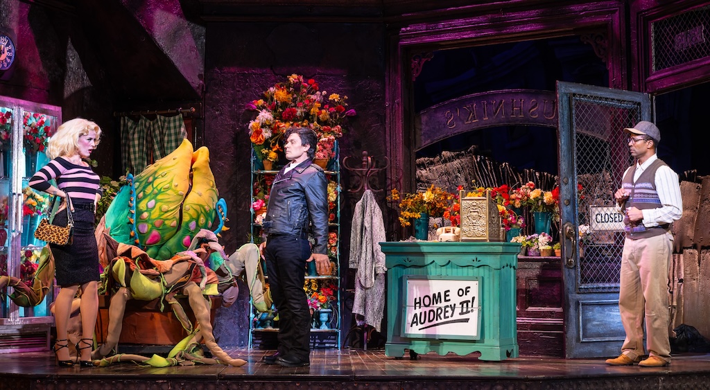 LITTLE SHOP OF HORRORS-9-JNiedel